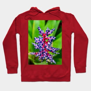 Red White and Blue Orchid Hoodie